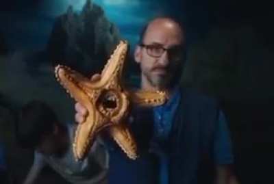 Starfish