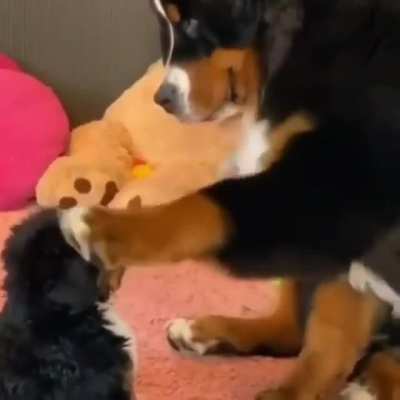 "That's my boy"