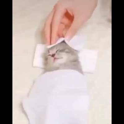 Meow