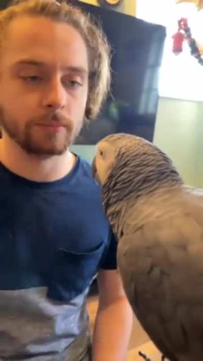 Maybe maybe maybe