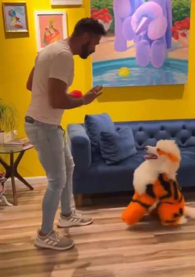 Maybe Maybe Maybe