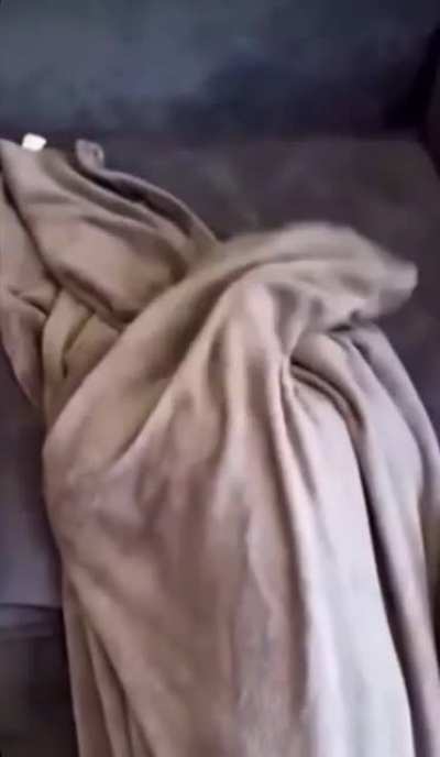Incognito