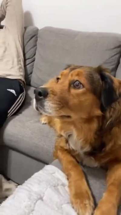 Transfixed! ?
