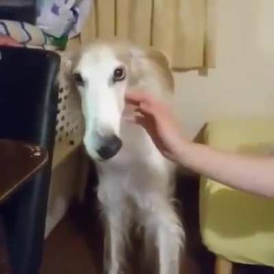 Nose as a vacuum cleaner ?