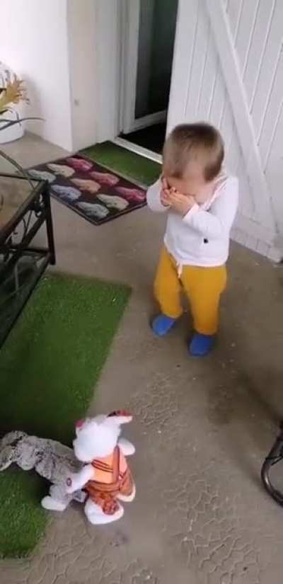 The very first time Billy's new rabbit meets his old rabbit