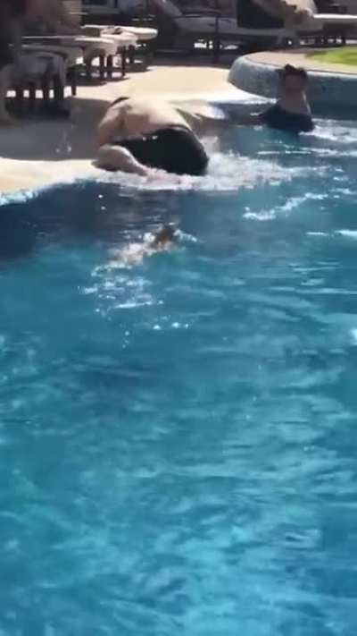 Lizard Joins Hotel Pool