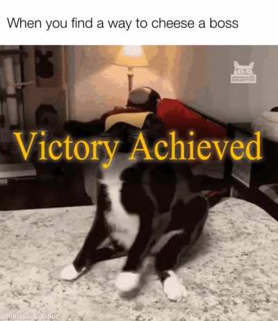 Please forgive the gamer pun