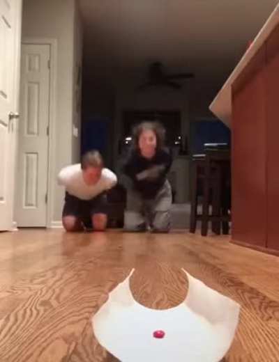 Did he win?