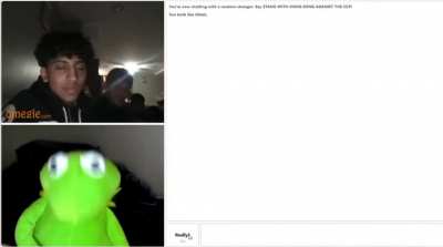 Kermit has such a big zuch ?