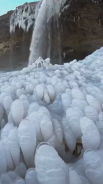 ? Frozen grass looks like Frozen Alien Eggs in Iceland.