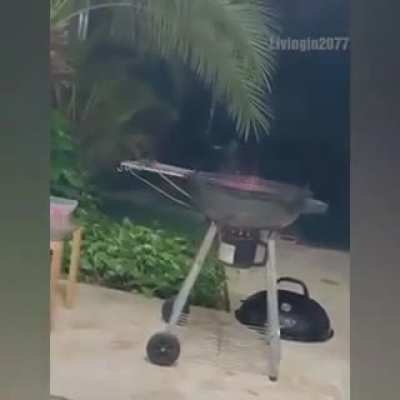 Saving a frog