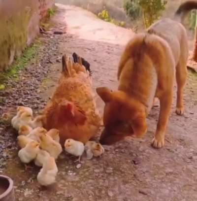 Maybe Maybe Maybe