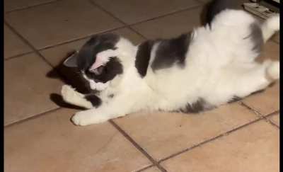 He thought his arm birthmark was a being of some sort, then chased it to the floor = Derp