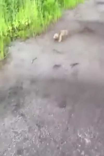 To be carried