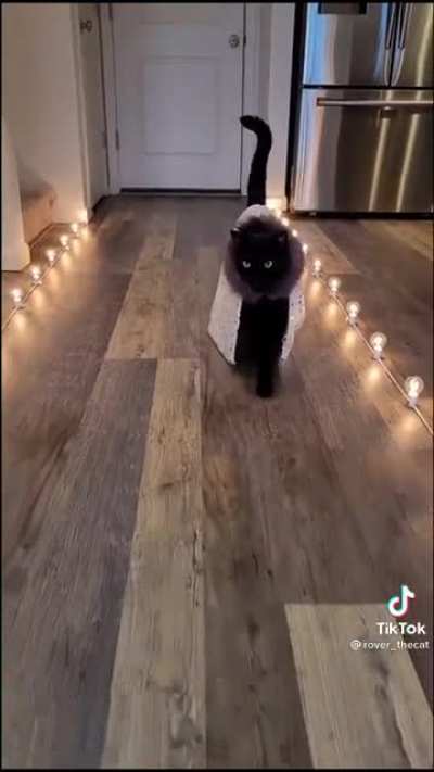 Catwalk