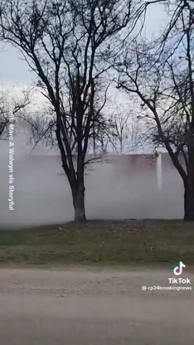 What a mess, Priscilla…