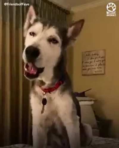 Warms the heart to see such stories. If you like it, please go to the original post and upvote and share it with others as well. ?