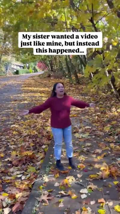 Taking a video in fall ?