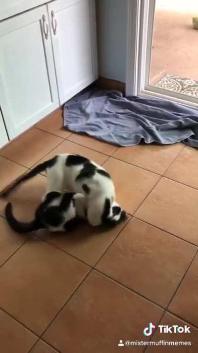 They fight all the time but always kiss and make up