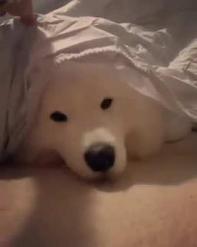 ??