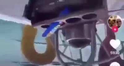 HMC while I miss the ocean completely