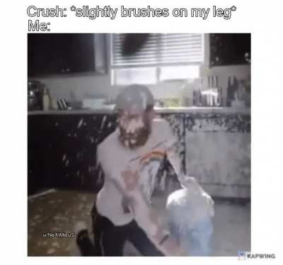 first gif meme ayyy