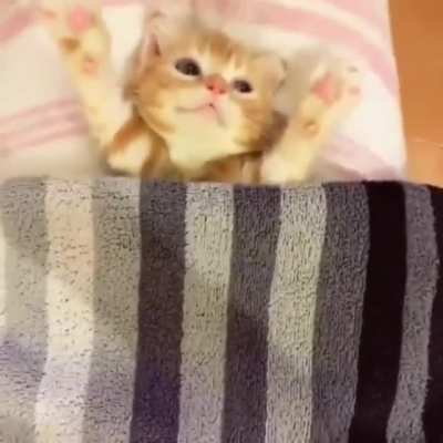 So smol ?