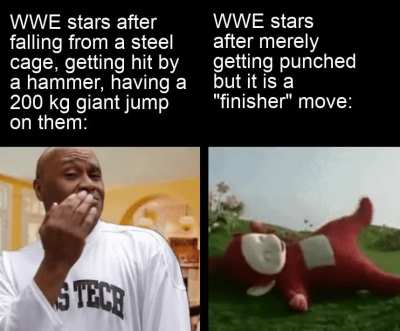 WWE meme