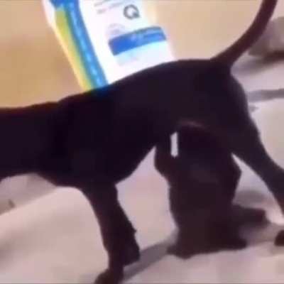 to drink milk