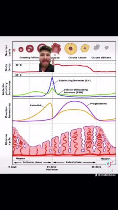 Hello guys. Have you ever wondered about how the menstrual cycle works? Watch this video to find out, any constructive feedback is welcome ?
