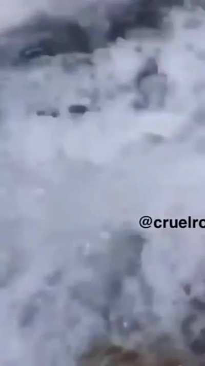 He fell down the waterfall, I wonder...did he survive??
