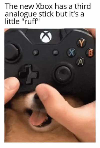 Probably the best controller