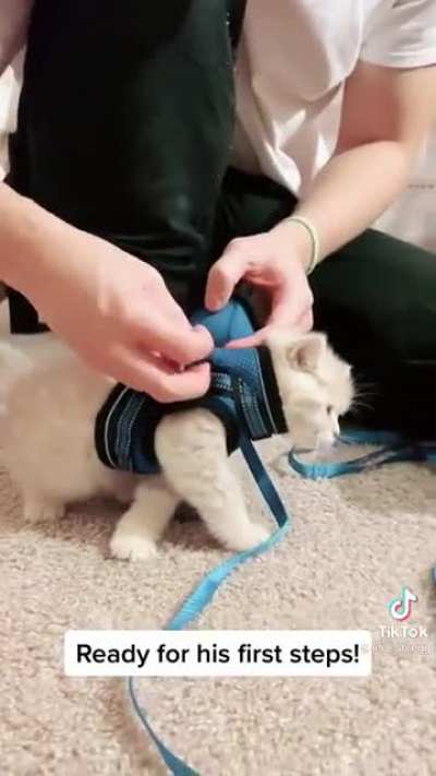 Awww