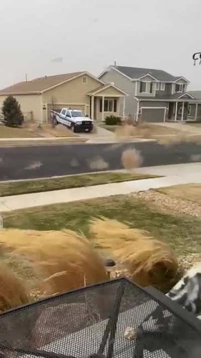 ? This swarm of Tumbleweeds barreling down a residential street north of Denver.