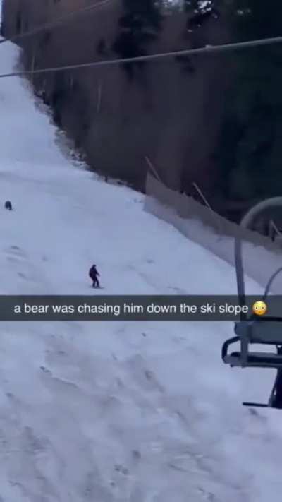 ?Bear Chasing a Skier Down The Slope