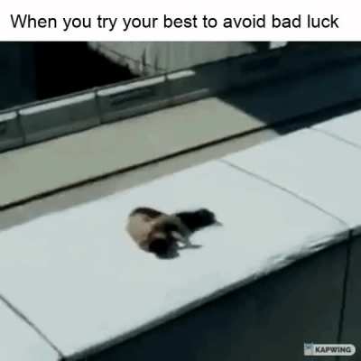 You can try as you want