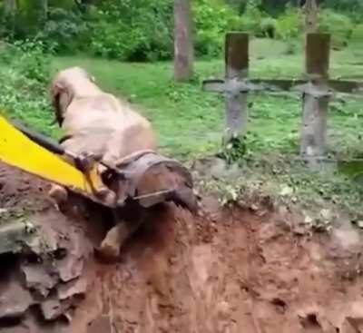 Humanity ❤️❤️... He came back to say thank you.. ?