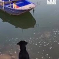 A daring rescue