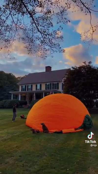 Making the Great Pumpkin real