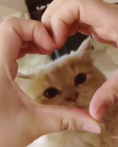 ♥️?