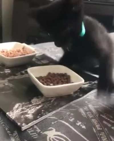 My food!!!
