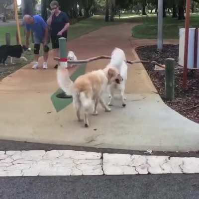 Maybe Maybe Maybe