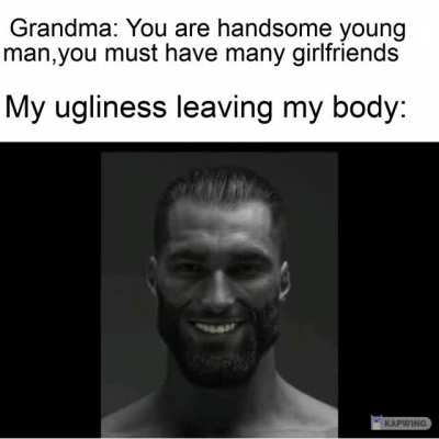 I just learned photoshop for this meme.