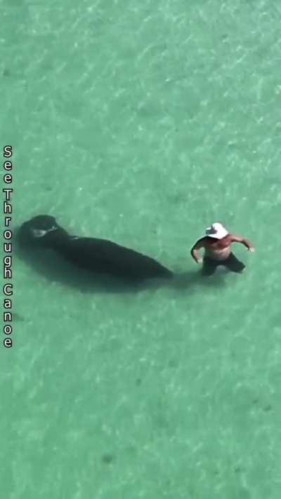 Maybe maybe maybe