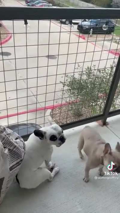 Singing the song of his people