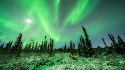 ? An Auroral Substorm (Explosion) in Fairbanks, Alaska