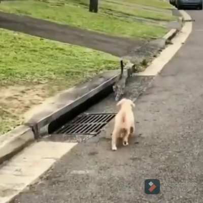 See ya later