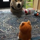 Who are you!?
