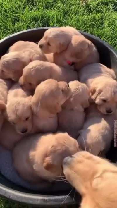 The only pot of gold I ever want
