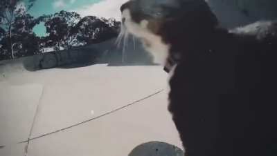 There he goes